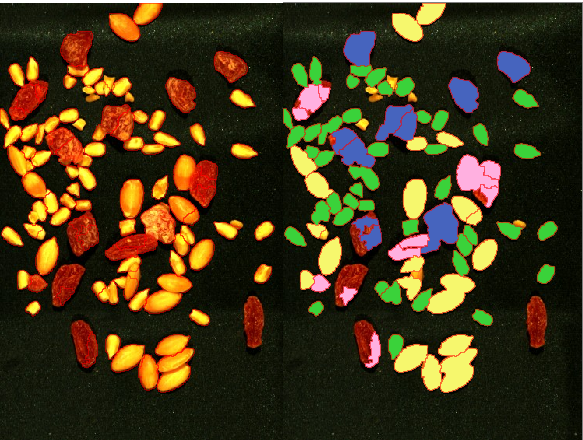 Nuts classified using shortwave infrared hyperspectral imaging and PLSDA